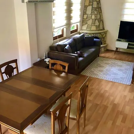 Vilă Egan *