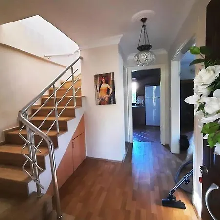 Egan Vilă *